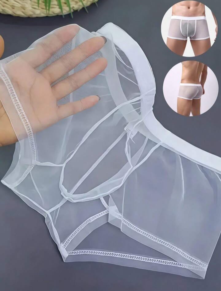 Frost Sheer Mesh Boxer Briefs